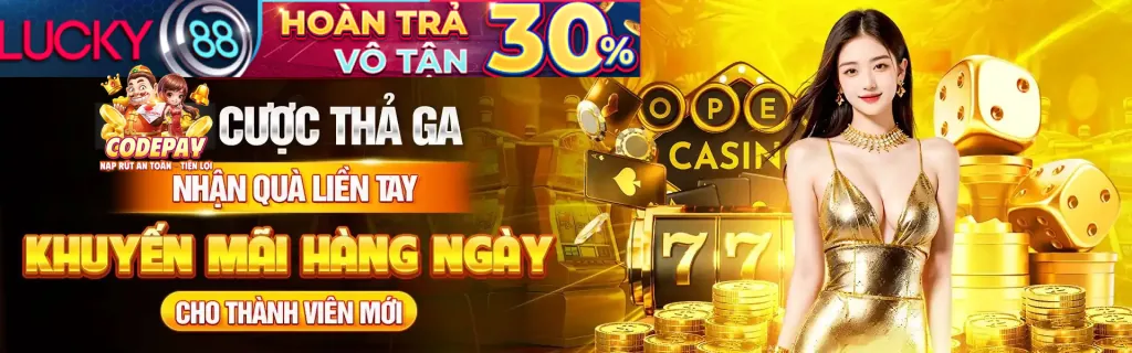 Các đặc quyền và ưu đãi dành cho thành viên VIP 55vin link